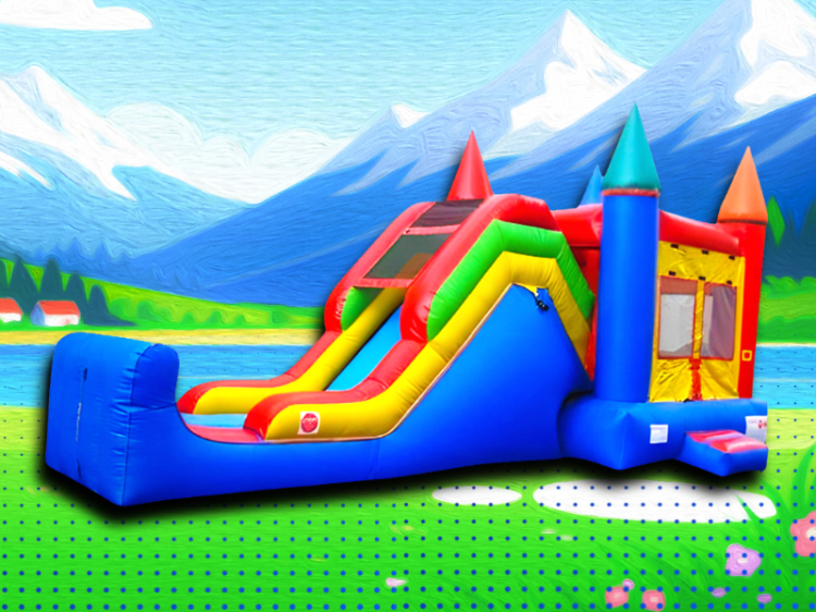 Bounce Houses with Slides